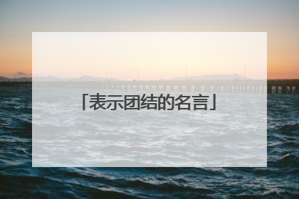 表示团结的名言