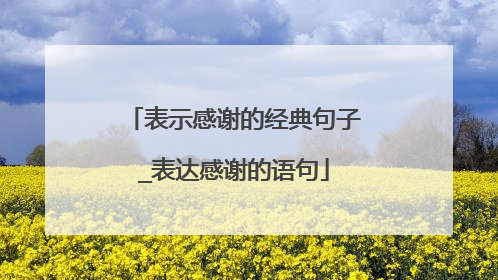 表示感谢的经典句子_表达感谢的语句