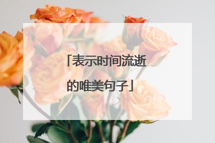 表示时间流逝的唯美句子