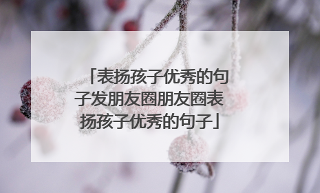 表扬孩子优秀的句子发朋友圈朋友圈表扬孩子优秀的句子