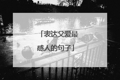 表达父爱最感人的句子