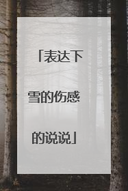 表达下雪的伤感的说说