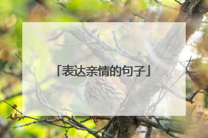 表达亲情的句子