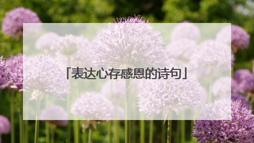表达心存感恩的诗句