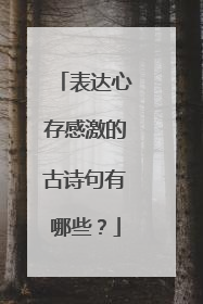 表达心存感激的古诗句有哪些?