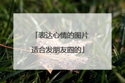 表达心情的图片适合发朋友圈的