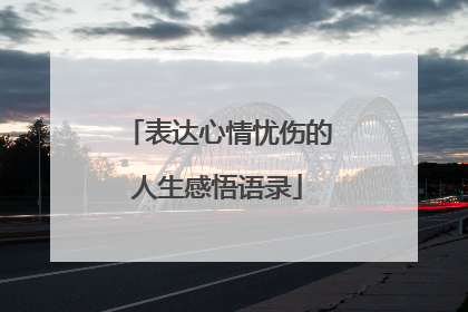 表达心情忧伤的人生感悟语录