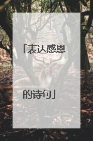 表达感恩的诗句