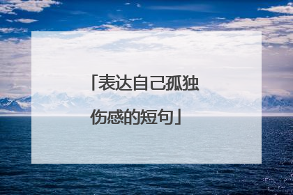 表达自己孤独伤感的短句