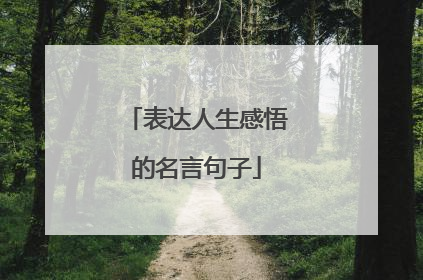 表达人生感悟的名言句子