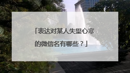 表达对某人失望心寒的微信名有哪些?