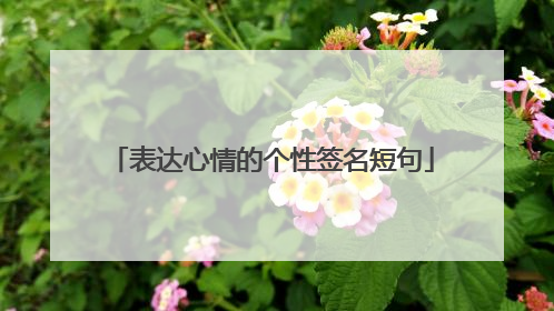 表达心情的个性签名短句