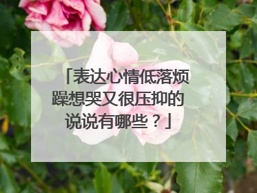 表达心情低落烦躁想哭又很压抑的说说有哪些？