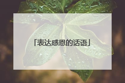 表达感恩的话语
