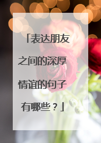 表达朋友之间的深厚情谊的句子有哪些?