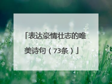 表达豪情壮志的唯美诗句(73条)