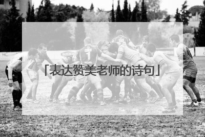 表达赞美老师的诗句