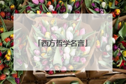 西方哲学名言