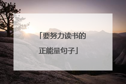 要努力读书的正能量句子