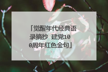 觉醒年代经典语录摘抄 建党100周年红色金句
