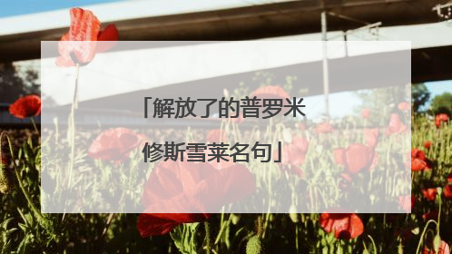 解放了的普罗米修斯雪莱名句
