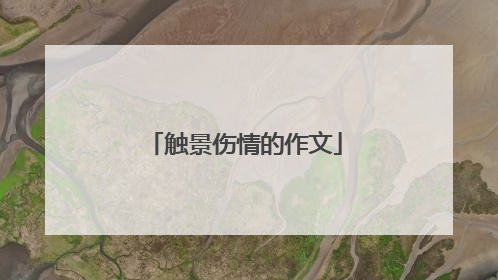 触景伤情的作文