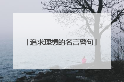 追求理想的名言警句