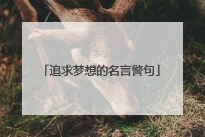 追求梦想的名言警句