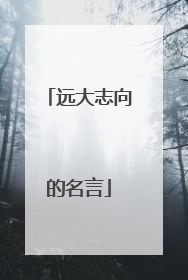 远大志向的名言
