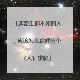 连畜生都不如的人,应该怎么称呼这个 {人} 求解