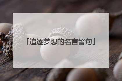 追逐梦想的名言警句