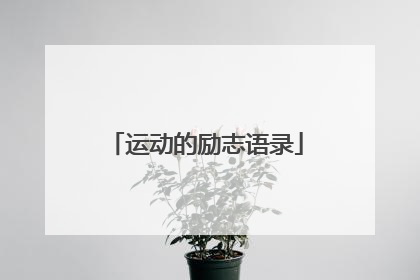运动的励志语录