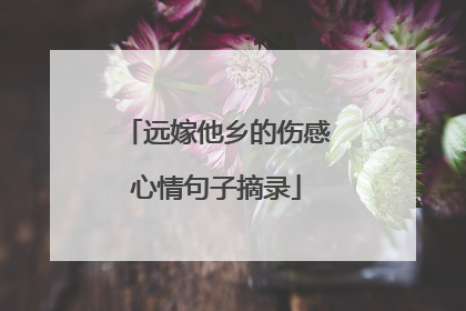 远嫁他乡的伤感心情句子摘录