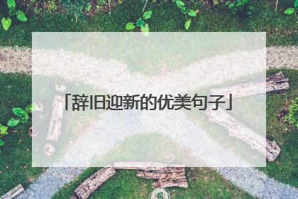 辞旧迎新的优美句子