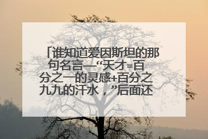 谁知道爱因斯坦的那句名言——“天才=百分之一的灵感+百分之九九的汗水,”后面还有半句话吗?