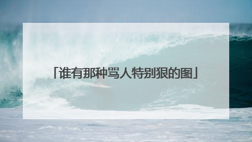 谁有那种骂人特别狠的图
