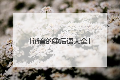 谐音的歇后语大全