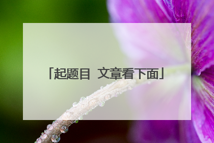 起题目 文章看下面