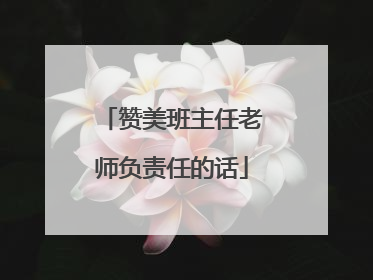 赞美班主任老师负责任的话