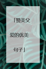 赞美父爱的优美句子