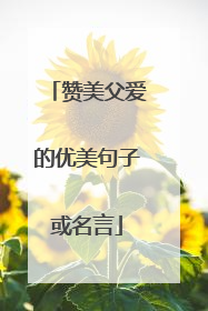赞美父爱的优美句子或名言