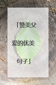 赞美父爱的优美句子