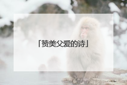 赞美父爱的诗