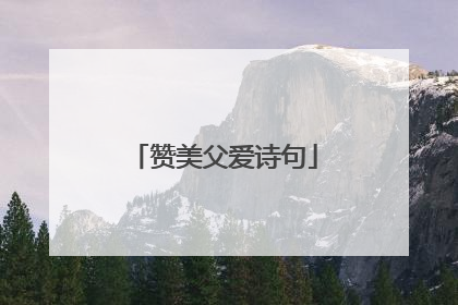 赞美父爱诗句