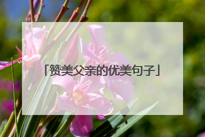 赞美父亲的优美句子
