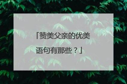 赞美父亲的优美语句有那些？