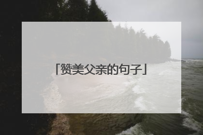 赞美父亲的句子