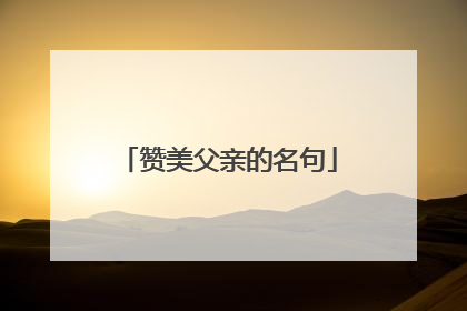 赞美父亲的名句