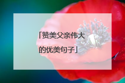 赞美父亲伟大的优美句子