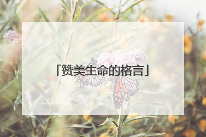 赞美生命的格言